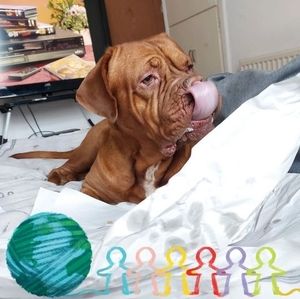 Meet your Posher, Simon